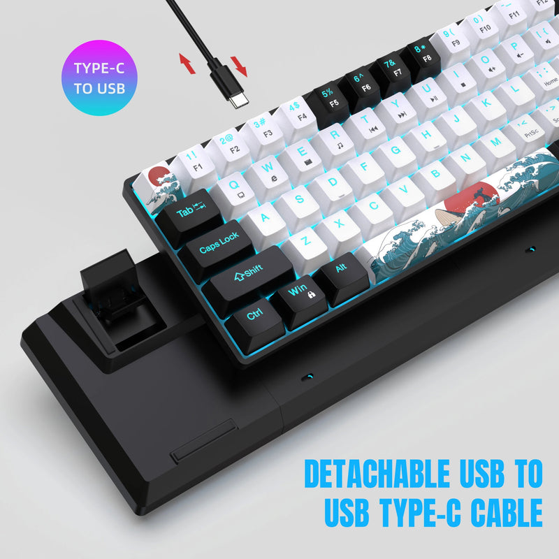 BlueLight 68 Mechanical Keyboard