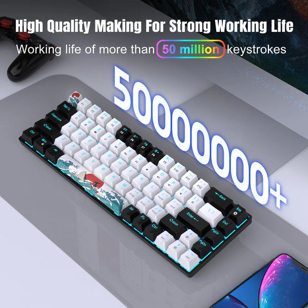 BlueLight 68 Mechanical Keyboard