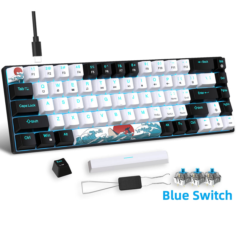 BlueLight 68 Mechanical Keyboard