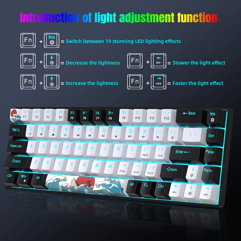 BlueLight 68 Mechanical Keyboard
